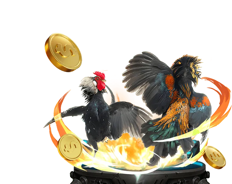 Cá cược bóng rổ tại 5sao